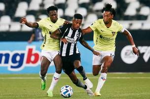 Botafogo e LDU em duelo disputado no Nilton Santos (Foto: AFP)