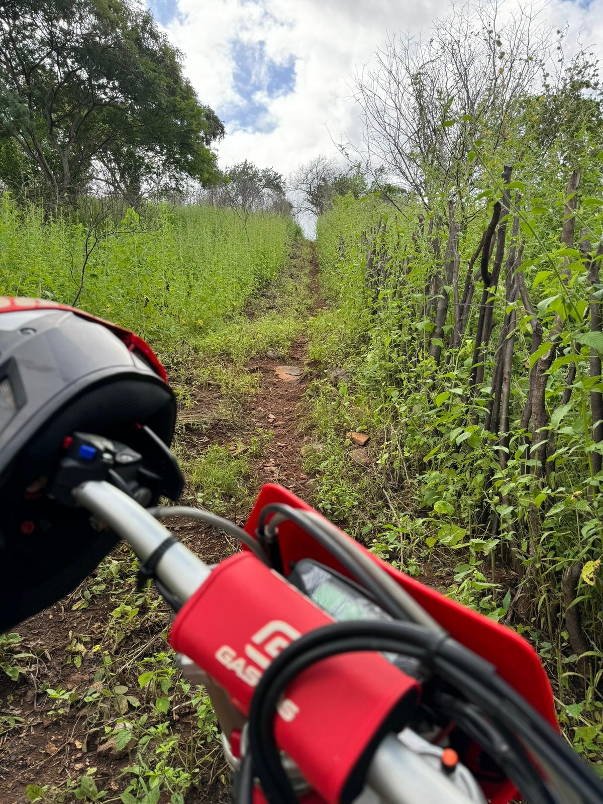 Campeonato de Enduro