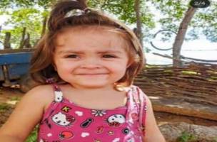 Clara, bebê de quase 2 anos morta por afogamento (Foto: Reprodução)