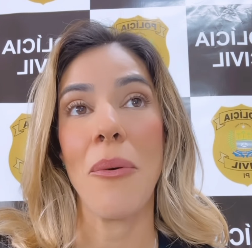 Delegada Nathalia Figueiredo comenta sobre a prisão do homem que matou a ex-mulher e ateou fogo na casa com o filho e a ex-sogra dentro, em Altos