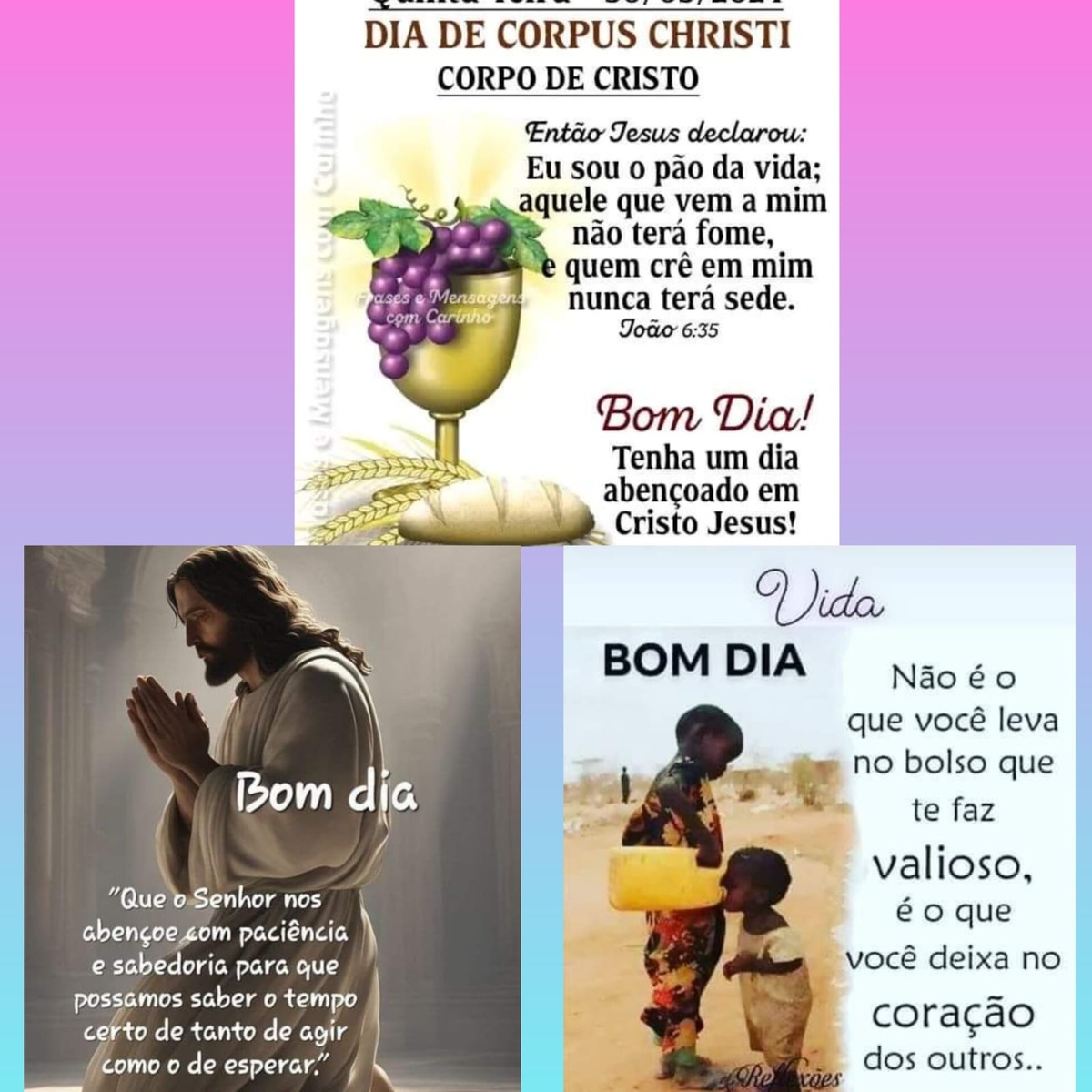 Pensamento do dia