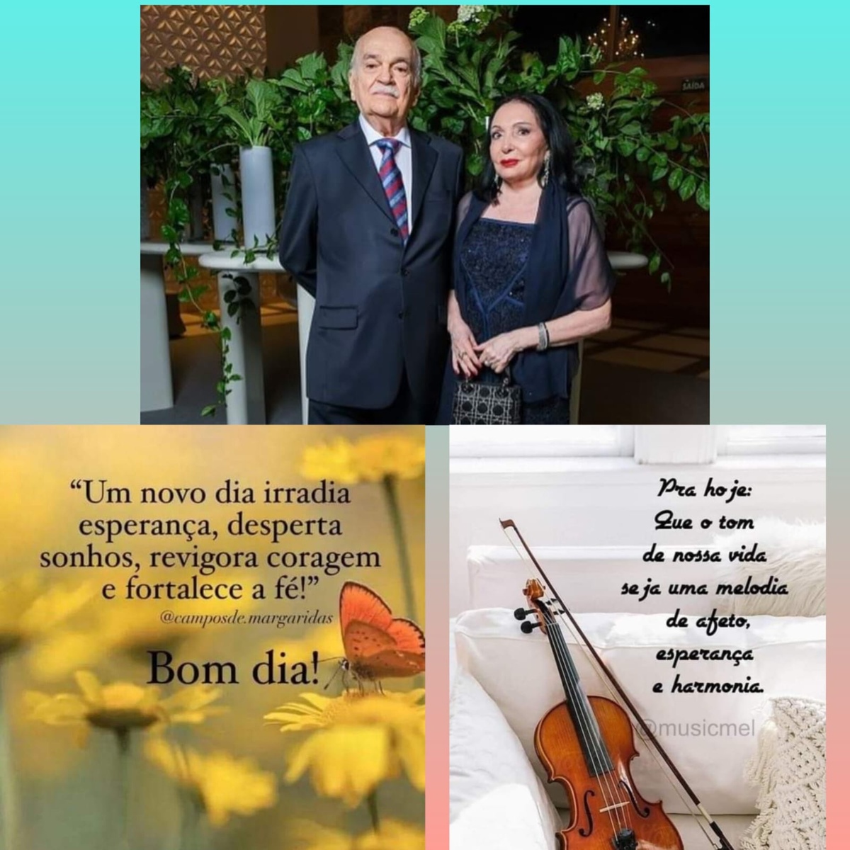Pensamento do dia