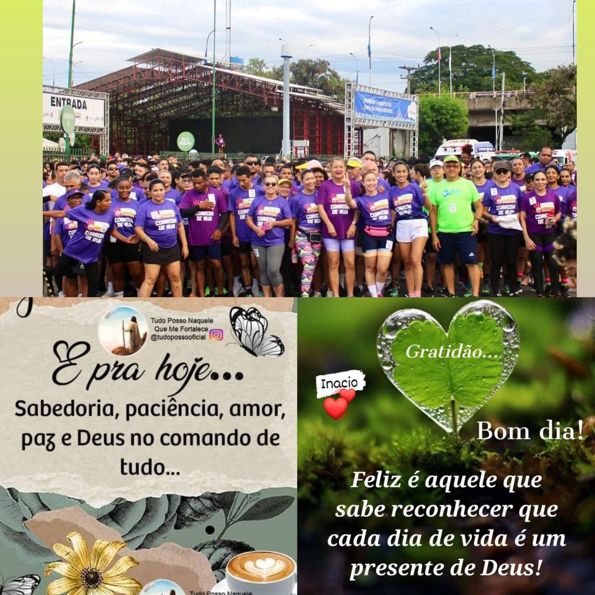 Pensamento do dia