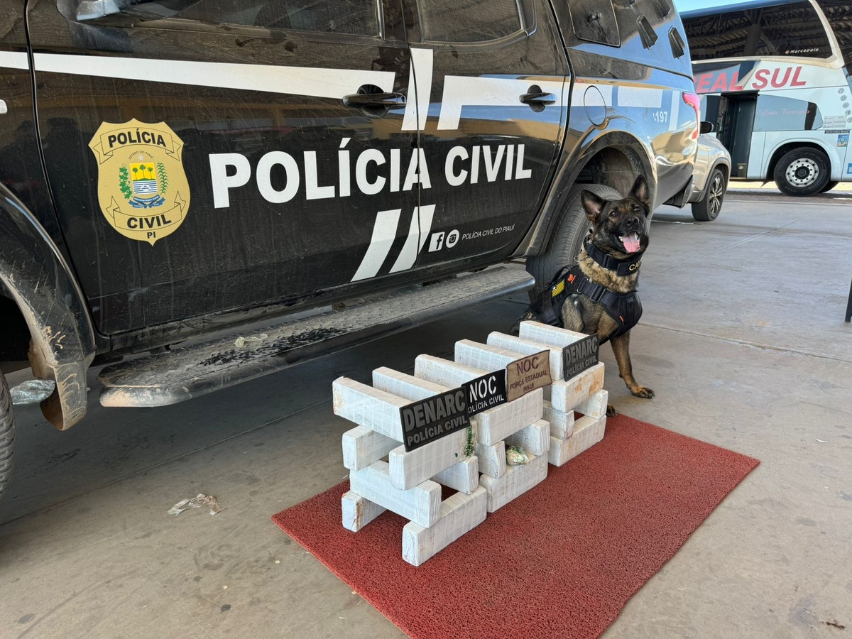 Capa