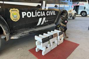 Capa (Foto: Reprodução/Polícia Civil)