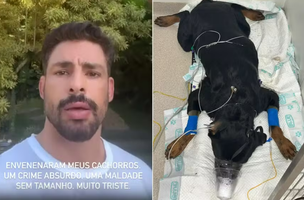 Cauã suspeita que o envenenamento de seus cachorros tenha sido uma tentativa de assalto a sua casa. (Foto: Reprodução/Instagram)