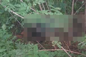 Corpo de homem estado avançado de decomposição é encontrado em uma matagal (Foto: Reprodução)