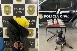 Operação Narke apreende drogas em ônibus interestaduais no Piauí (Foto: Divulgação/SSP-PI)