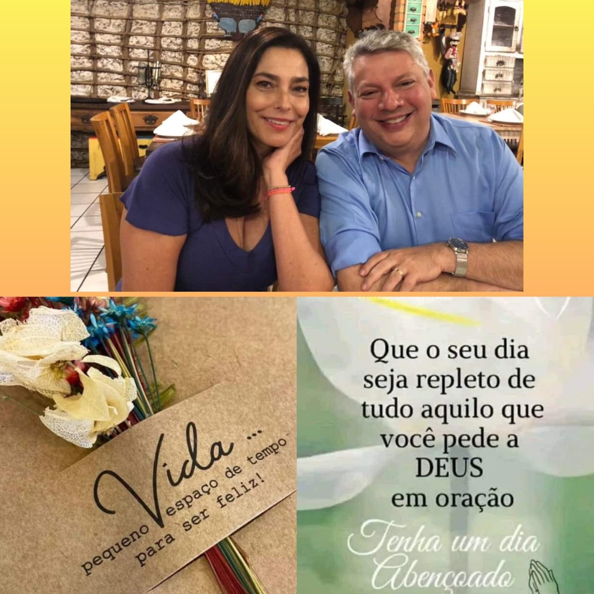 Pensamento do dia