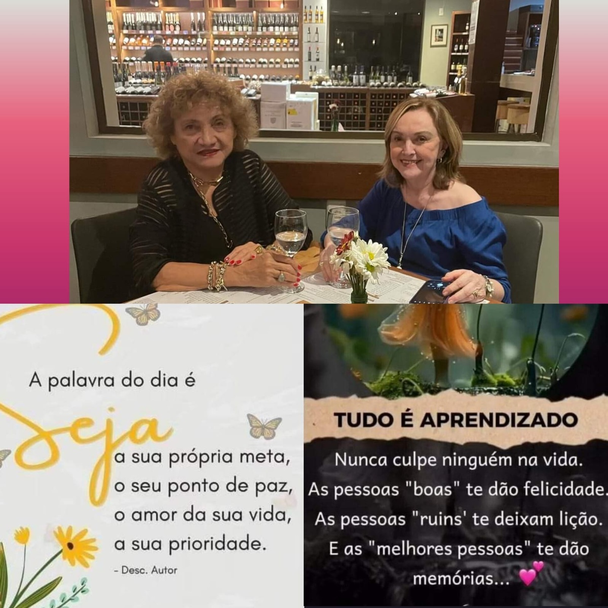 Pensamento do dia
