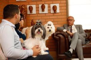 Alepi permite a presencia de animais de apoio emocional em locais de uso coletivo em todo o Piauí (Foto: Divulgação/Alepi)