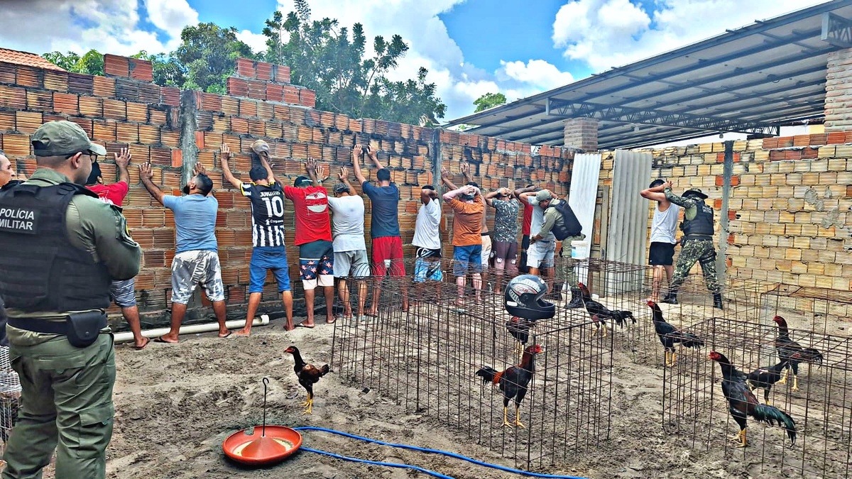 Ao todo, 14 pessoas foram detidas durante a ação