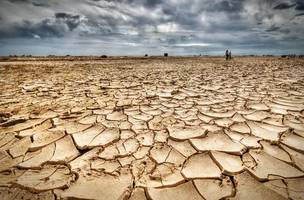 Apesar da redução entre maio e junho, Piauí lidera percentual de área com seca na região nordestina no último mês. (Foto: Reprodução)