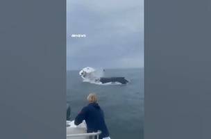 Baleia ataca barco de pescador nos EUA (Foto: Divulgação)