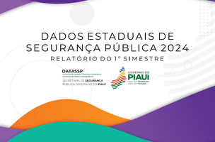 Capa (Foto: Reprodução/SSPI-PI)