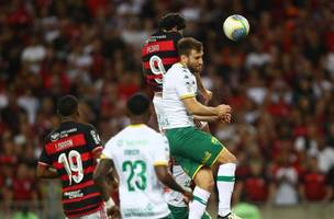 Flamengo (Foto: Reprodução/Divulgação / Flamengo)