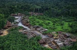 O ministro do STJ entende que a greve está sendo realizada por profissionais públicos. (Foto: Reprodução/Ibama)