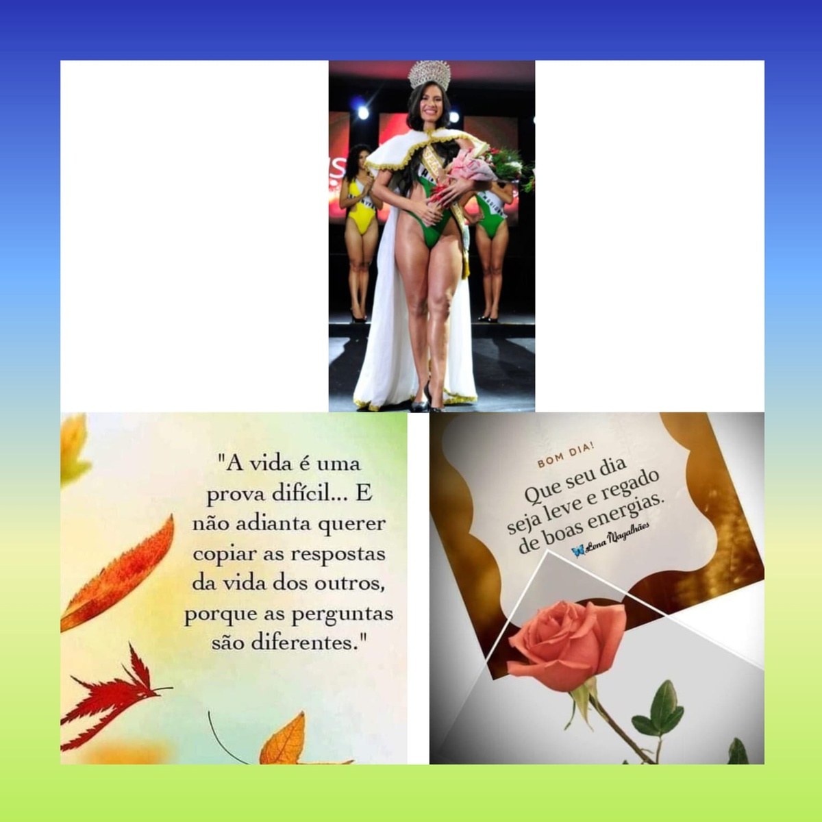 Pensamento do dia