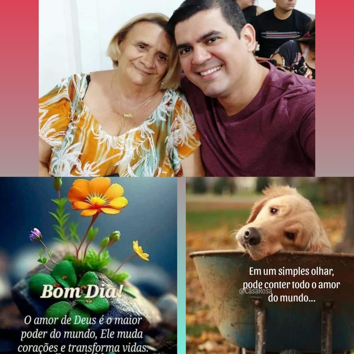 Pensamento do dia