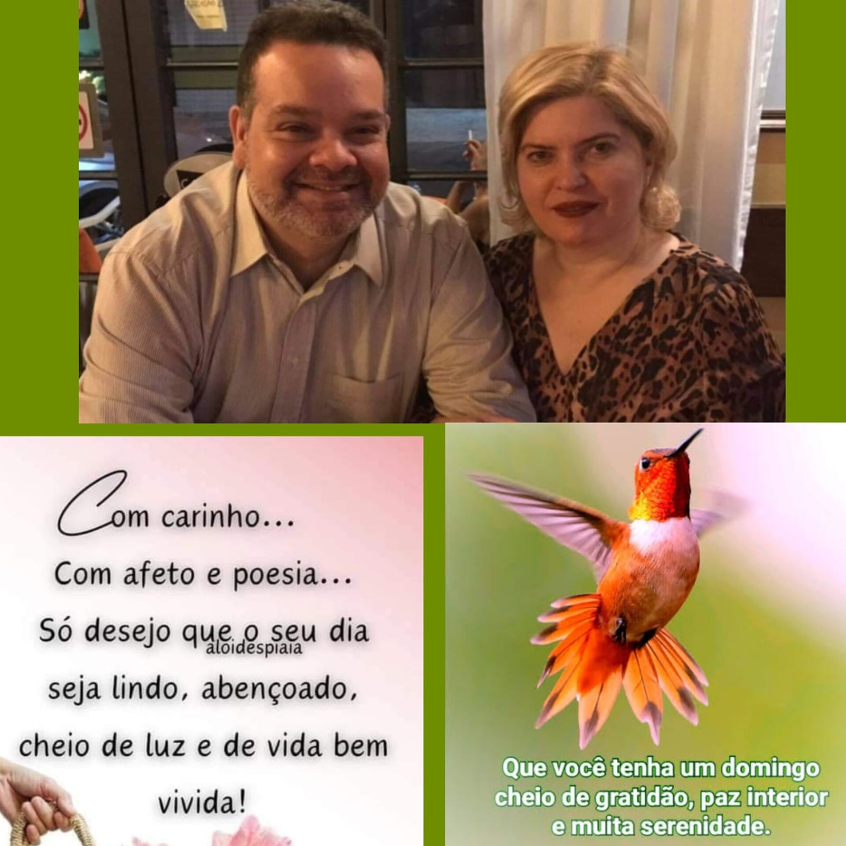 Pensamento do dia