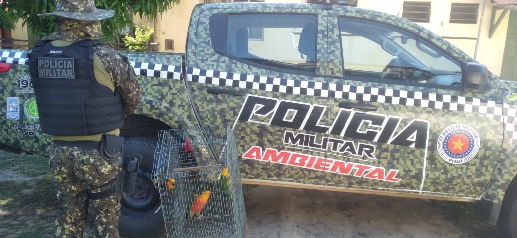 Polícia Ambiental