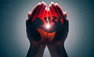 sus (Foto: aborto)