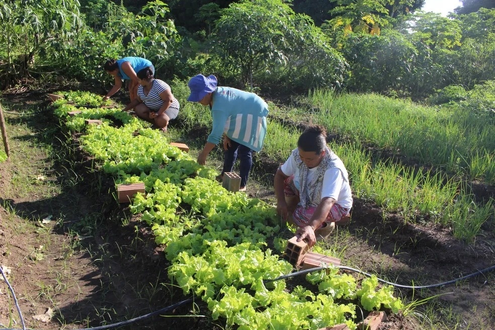 Agricultura Familiar Piauiense