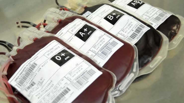 Bolsas de sangue