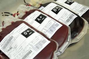 Bolsas de sangue (Foto: Reprodução)