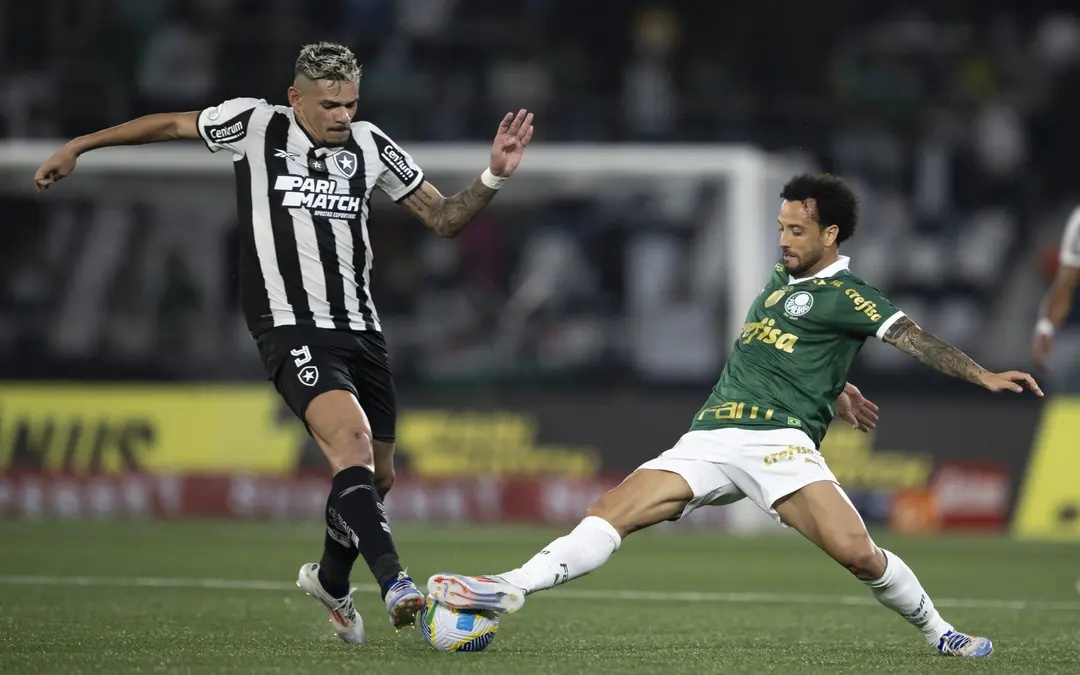 Botafogo e Palmeiras se enfrentam nesta quarta-feira (14).