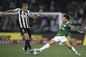 Botafogo e Palmeiras se enfrentam nesta quarta-feira (14). (Foto: Reprodução/Jorge Rodrigues/AGIF)