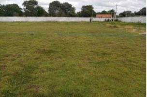 Estádio de Lagoa do Piauí (Foto: Reprodução)