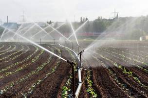 Irrigação (Foto: Reprodução)