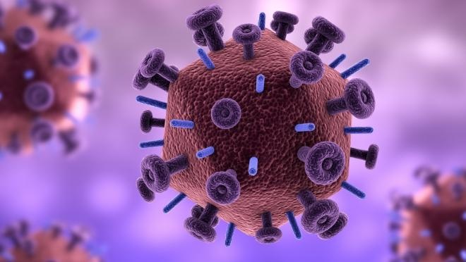 Nova variante do HIV, batizada como CRF146_BC, circula em três estados do Brasil, aponta estudo