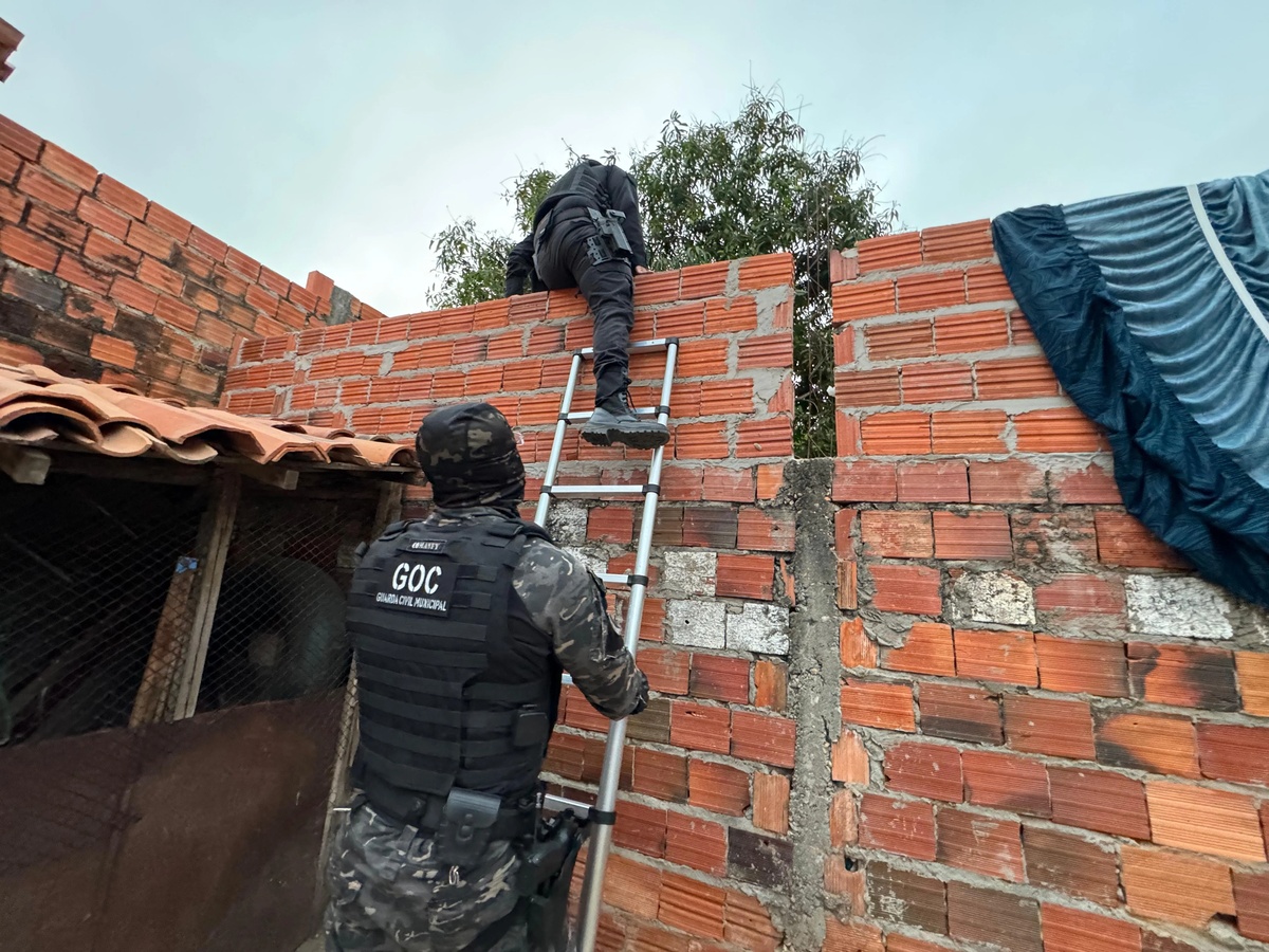 Operação do Draco deflagrada na manhã desta terça-feira (27)