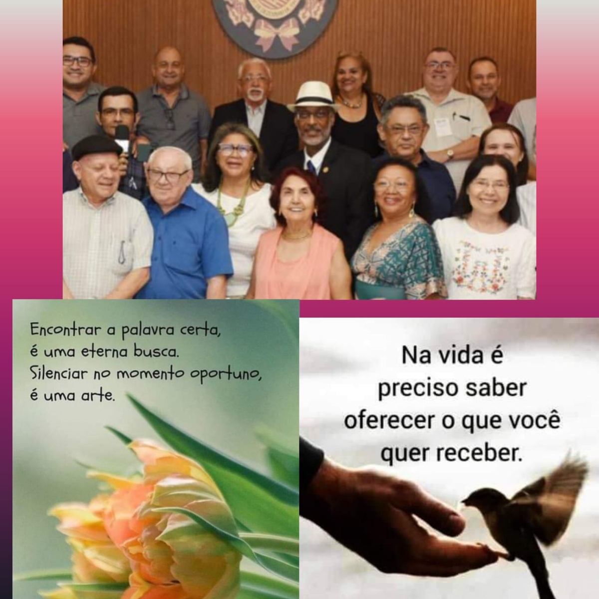 Pensamento do dia