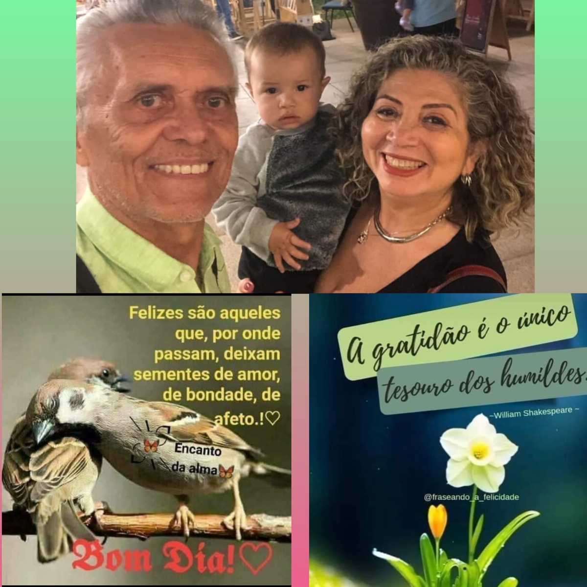Pensamento do dia.