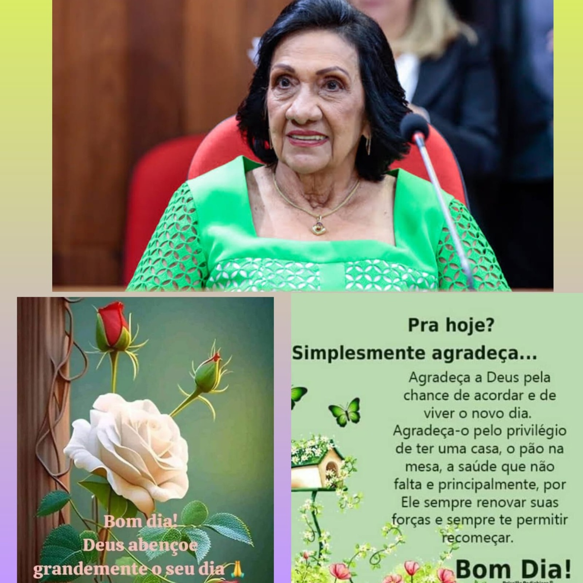 Pensamento do dia.