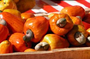 Versatilidade e benefícios nutricionais da fruta estimulam a expansão da cultura e atraem interesse na gastronomia. (Foto: Reprodução/Giovanni Sacchi/Pixabay)