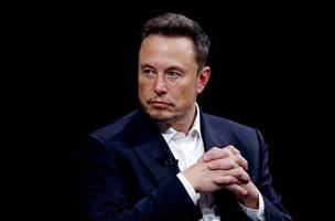 Elon (Foto: Reprodução)