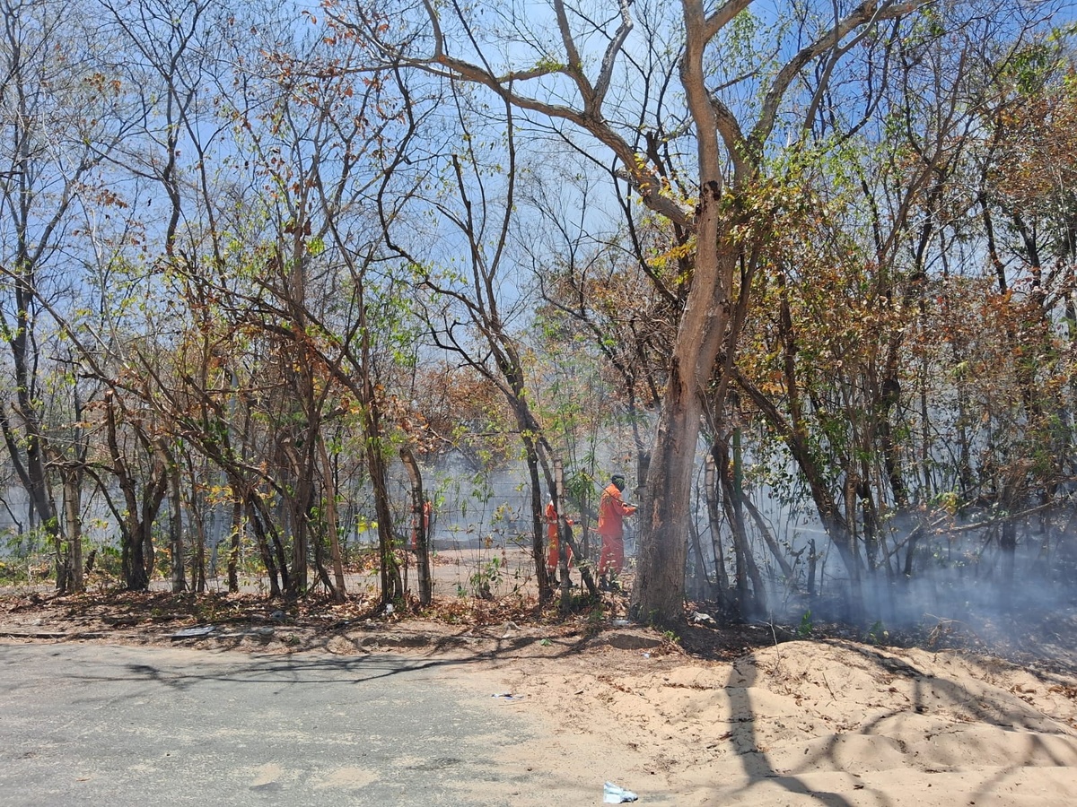 Incêndio atinge o Parque da Cidade na zona Norte de Teresina