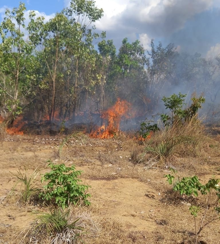 Incêndio atingiu uma fazenda e se espalhou pela vegetação seca
