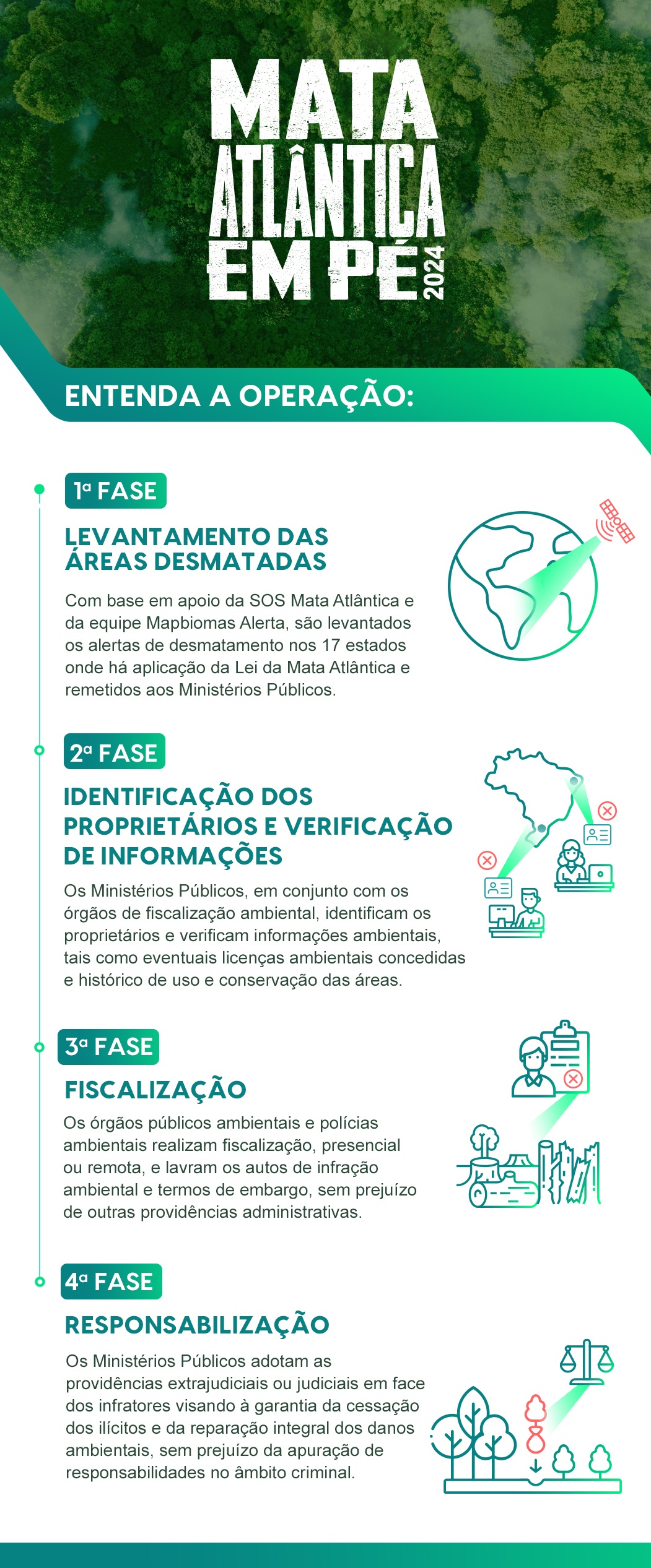 Mata Atlântica de Pé