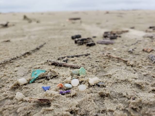 Microplásticos em praia