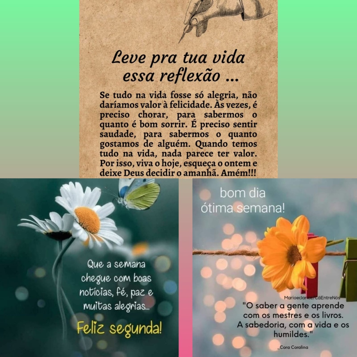 Pensamento do dia