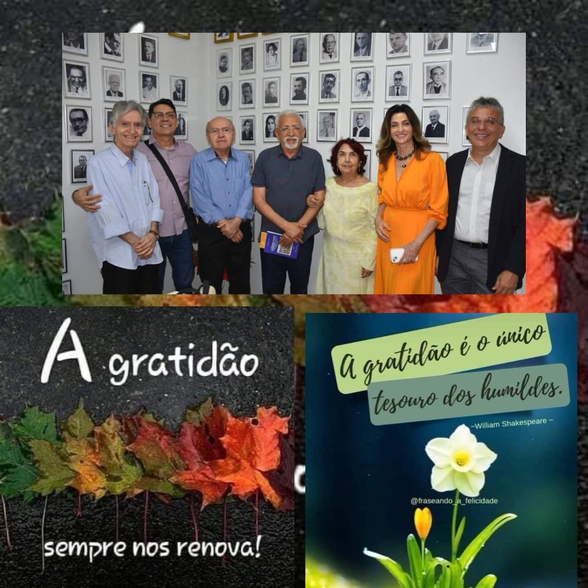 Pensamento do dia.
