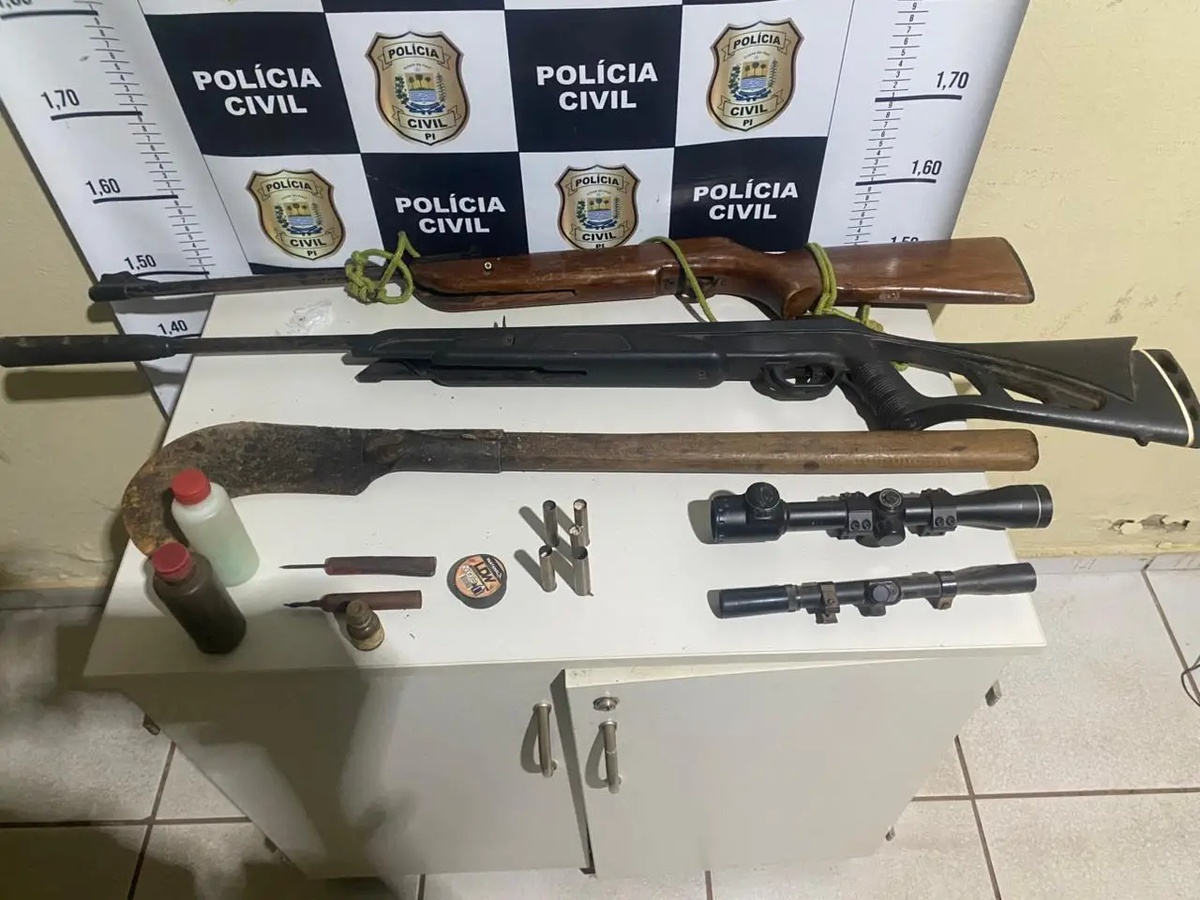 Armas apreendidas.
