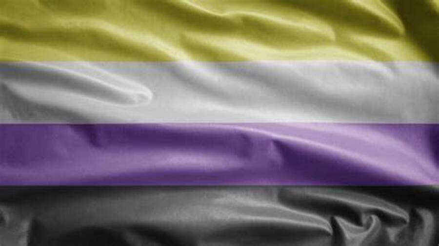 Bandeira Não Binárie