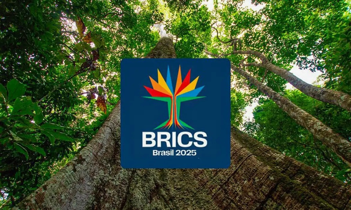 Brics
