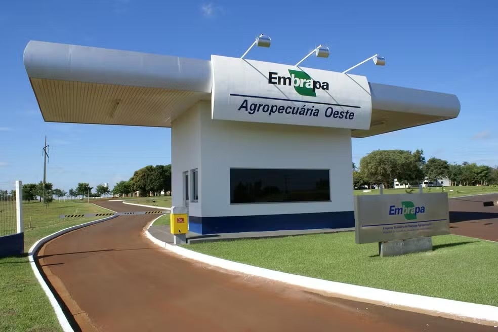 Concurso da embrapa